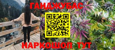 прущие грибы Кимры