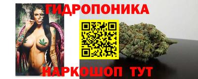 прущие грибы Кимры